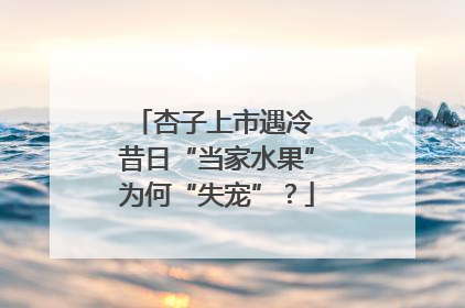 杏子上市遇冷 昔日“当家水果”为何“失宠”？